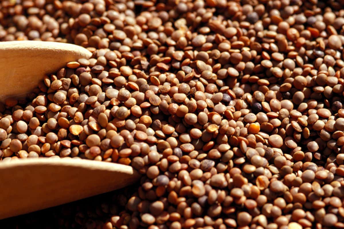 Aggiungi un legume a tavola: il 10 febbraio in oltre 150 ristoranti e pizzerie